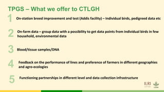 Tropical Poultry Genetic Solutions (TPGS): Delivering farmer preferred, productive and ecologically adapted poultry to smallholders