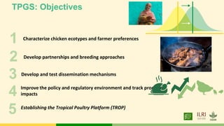 Tropical Poultry Genetic Solutions (TPGS): Delivering farmer preferred, productive and ecologically adapted poultry to smallholders