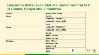 Tropical Poultry Genetic Solutions (TPGS): Delivering farmer preferred, productive and ecologically adapted poultry to smallholders