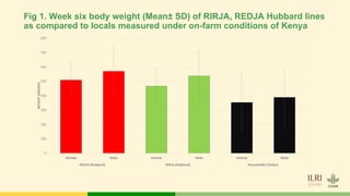 Tropical Poultry Genetic Solutions (TPGS): Delivering farmer preferred, productive and ecologically adapted poultry to smallholders