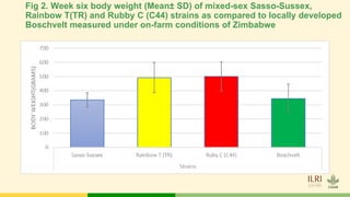Tropical Poultry Genetic Solutions (TPGS): Delivering farmer preferred, productive and ecologically adapted poultry to smallholders
