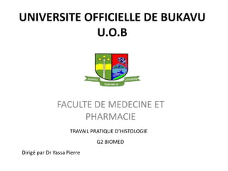 UNIVERSITE OFFICIELLE DE BUKAVU
U.O.B
FACULTE DE MEDECINE ET
PHARMACIE
TRAVAIL PRATIQUE D’HISTOLOGIE
G2 BIOMED
Dirigé par Dr Yassa Pierre
 