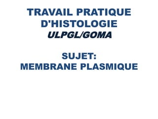 TRAVAIL PRATIQUE
D'HISTOLOGIE
ULPGL/GOMA
SUJET:
MEMBRANE PLASMIQUE
 