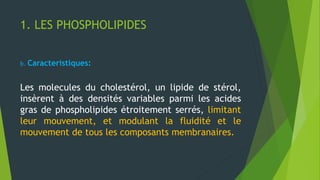 1. LES PHOSPHOLIPIDES
b. Caracteristiques:
Les molecules du cholestérol, un lipide de stérol,
insèrent à des densités variables parmi les acides
gras de phospholipides étroitement serrés, limitant
leur mouvement, et modulant la fluidité et le
mouvement de tous les composants membranaires.
 
