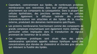  Cependant, contrairement aux lipides, de nombreuses protéines
membranaires sont restreintes dans leur diffusion latérale par
attachement aux composants du cytosquelette. Dans la plupart des
cellules épithéliales, des jonctions serrées entre les cellules
limitent également la diffusion latérale des proteins
transmembranaires non attachées et des lipides de la couche
externe, produisant des domaines membranaires spécifiques.
 Les proteins membranaires fonctionnant comme des composants de
grands complexes enzymatiques sont également moins mobiles, en
particulier celles impliquées dans la transduction de signaux
provenant de l'extérieur de la cellule.
 Ces complexes protéiques sont situés dans des patchs
membranaires spécialisés appelés radeaux lipidiques ayant des
concentrations plus élevées de cholestérol et d'acides gras saturés
qui réduisent la fluidité des lipides.
 