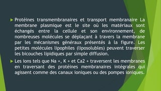  Protéines transmembranaires et transport membranaire La
membrane plasmique est le site où les matériaux sont
échangés entre la cellule et son environnement, de
nombreuses molécules se déplaçant à travers la membrane
par les mécanismes généraux présentés à la figure. Les
petites molécules lipophiles (liposolubles) peuvent traverser
les bicouches lipidiques par simple diffusion.
 Les ions tels que Na +, K + et Ca2 + traversent les membranes
en traversant des protéines membranaires intégrales qui
agissent comme des canaux ioniques ou des pompes ioniques.
 