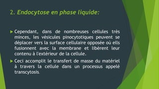 2. Endocytose en phase liquide:
 Cependant, dans de nombreuses cellules très
minces, les vésicules pinocytotiques peuvent se
déplacer vers la surface cellulaire opposée où ells
fusionnent avec la membrane et libèrent leur
contenu à l'extérieur de la cellule.
 Ceci accomplit le transfert de masse du matériel
à travers la cellule dans un processus appelé
transcytosis.
 