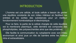 INTRODUCTION
L’homme est une cellule, et toute cellule a besoin de garder
une équilibre constante de son milieu intérieur en facilitant les
entrées et les sorties des substances pour un meilleur
fonctionnement homéostatique et électrolytique.
Pour ce faire, la partie de la cellule chargée de cette équilibre
est la membrane plasmique, cette dernière est composée des
phospholipides, des polysaccharides ainsi que des protéines.
Elle facilite la communication du cytoplasme avec son milieu
environnant et ainsi joue un rôle de barrière entre les milieux
intra et extracellulaire.
 