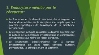 3. Endocytose médiée par le
récepteur:
 La formation et le devenir des vésicules émergeant de
l'endocytose médiée par le récepteur sont régulés par des
protéines spécifiques de l'enveloppe de la membrane
périphérique.
 Les récepteurs occupés s'associent à d'autres protéines sur
la surface de la membrane cytoplasmique et commencent
l'invagination sous forme de fosses enrobées.
 Le revêtement d'électrondense sur la surface
cytoplasmique de telles fosses contient plusieurs
polypeptides, le principal étant la clathrine.
 