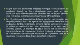  Le pH acide des endosomes précoces provoque le détachement de
nombreux ligands de leurs récepteurs, après quoi les deux
molécules sont triées en vésicules séparées. Les récepteurs peuvent
être renvoyés à la membrane cellulaire pour être réutilisés.
 Les récepteurs de lipoprotéines de basse densité, par exemple, sont
recyclés plusieurs fois. Les ligands sont typiquement transférés aux
endosomes tardifs. Cependant, certains ligands sont renvoyés dans
le milieu extracellulaire avec leurs récepteurs et les deux sont à
nouveau utilisés. Un exemple de cette activité est la protéine de
transport du fer, la transferrine: les ions ferriques se dissocient de
la transferrine à un faible pH endosomal et la protéine libre et le
récepteur retournent tous deux à la surface cellulaire.
 