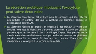 La sécrétion protéique impliquant l'exocytose
peut suivre deux voies:
 La sécrétion constitutive est utilisée pour les produits qui sont libérés
des cellules en continu, dès que la synthèse est terminée, comme le
procollagène pour l'ECM.
 La sécrétion régulée se produit en réponse à des signaux arrivant aux
cellules, tels que la libération d'enzymes digestives à partir de cellules
pancréatiques en réponse à des stimuli spécifiques. Des parties de la
membrane cellulaire deviennent une partie des vésicules endocytotiques
ou des vacuoles au cours de l'endocytose; pendant l'exocytose, la
membrane est renvoyée à la surface de la cellule.
 
