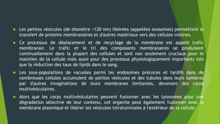  Les petites vésicules (de diamètre <120 nm) libérées (appelées exosomes) permettent le
transfert de proteins membranaires et d'autres matériaux vers des cellules voisines.
 Ce processus de déplacement et de recyclage de la membrane est appelé trafic
membranair. Le trafic et le tri des composants membranaires se produisent
continuellement dans la plupart des cellules et sont non seulement cruciaux pour le
maintien de la cellule mais aussi pour des processus physiologiquement importants tels
que la réduction des taux de lipids dans le sang.
 Les sous-populations de vacuoles parmi les endosomes précoces et tardifs dans de
nombreuses cellules accumulent de petites vésicules et des tubules dans leurs lumières
par d'autres invaginations de leurs membranes limitantes, devenant des corps
multivésiculaires.
 Alors que les corps multivésiculaires peuvent fusionner avec les lysosomes pour une
dégradation sélective de leur contenu, cet organite peut également fusionner avec la
membrane plasmique et libérer les vésicules intraluminales à l'extérieur de la cellule.
 