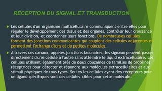  Les cellules d'un organisme multicellulaire communiquent entre elles pour
réguler le développement des tissus et des organes, contrôler leur croissance
et leur division, et coordonner leurs fonctions. De nombreuses cellules
forment des jonctions communicantes qui couplent des cellules adjacentes et
permettent l'échange d'ions et de petites molécules.
 A travers ces canaux, appelés jonctions lacunaires, les signaux peuvent passer
directement d'une cellule à l'autre sans atteindre le liquid extracellulaire. Les
cellules utilisent également près de deux douzaines de familles de protéines
réceptrices pour détecter et répondre aux molécules extracellulaires et aux
stimuli physiques de tous types. Seules les cellules ayant des récepteurs pour
un ligand spécifiques sont des cellules cibles pour cette molécule.
RÉCEPTION DU SIGNAL ET TRANSDUCTION
 