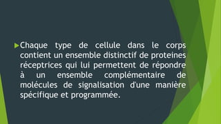 Chaque type de cellule dans le corps
contient un ensemble distinctif de proteines
réceptrices qui lui permettent de répondre
à un ensemble complémentaire de
molécules de signalisation d'une manière
spécifique et programmée.
 