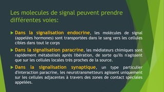 Les molecules de signal peuvent prendre
différentes voies:
 Dans la signalisation endocrine, les molécules de signal
(appelées hormones) sont transportées dans le sang vers les cellules
cibles dans tout le corps
 Dans la signalisation paracrine, les médiateurs chimiques sont
rapidement métabolisés après libération, de sorte qu'ils n'agissent
que sur les cellules locales très proches de la source.
 Dans la signalisation synaptique, un type particulier
d'interaction paracrine, les neurotransmetteurs agissent uniquement
sur les cellules adjacentes à travers des zones de contact spéciales
appelées.
 