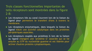 Trois classes fonctionnelles importantes de
tells récepteurs sont montrées dans la figure
2-8:
 Les récepteurs liés au canal s'ouvrent lors de la liaison du
ligand pour permettre le transfert d'ions à travers la
membrane.
 Les récepteurs enzymatiques, dans lesquels la liaison du
ligand induit une activité catalytique dans les protéines
périphériques associées.
 Les récepteurs couplés aux protéines G lors de la liaison
au ligand changent une "protéine G" associée qui se lie
ensuite au GTP du nucleotide guanine et est libérée pour
activer d'autres proteins cytoplasmiques.
 