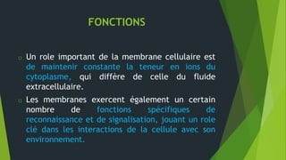 FONCTIONS
o Un role important de la membrane cellulaire est
de maintenir constante la teneur en ions du
cytoplasme, qui diffère de celle du fluide
extracellulaire.
o Les membranes exercent également un certain
nombre de fonctions spécifiques de
reconnaissance et de signalisation, jouant un role
clé dans les interactions de la cellule avec son
environnement.
 