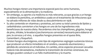 Muchos hongos tienen una importancia especial para los seres humanos,
especialmente en la alimentación y la medicina.
• Sin embargo, su aporte a la medicina es más relevante, ya que gracias a un hongo
se elabora la penicilina, un antibiótico usado en el tratamiento de infecciones que
ha salvado millones de vidas desde su descubrimiento en 1928.
• Su alto contenido en vitaminas y proteínas, así como su total carencia de lípidos y
carbohidratos convierten a los hongos en uno de los ingredientes más
beneficiosos de nuestra dieta. Recordemos sino los champiñones, gírgolas, hongos
de pino, shitake, la levadura (saccharomyces cervesiae) necesaria para elaborar el
pan, la cerveza y el vino, o aquellos hongos presentes en el queso Brie,
Camembert y Roquefort.
• Existen hongos alucinógenos, este tipo de organismos segregan sustancias tóxicas
que producen un efecto inmediato en el cerebro, causando alucinaciones y
pérdida de conciencia en el individuo. En cambio, otras especies provocan secuelas
todavía más devastadoras, mediante la transmisión de enzimas venenosas, los
hongos pueden conducir a un fallo multisistémico y la muerte.
 
