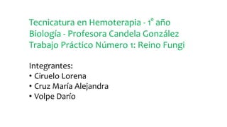 Tecnicatura en Hemoterapia - 1° año
Biología - Profesora Candela González
Trabajo Práctico Número 1: Reino Fungi
Integrantes:
• Ciruelo Lorena
• Cruz María Alejandra
• Volpe Darío
 