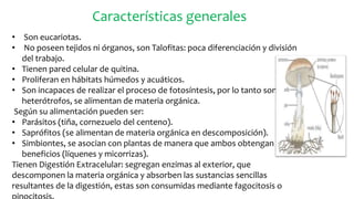 Características generales
• Son eucariotas.
• No poseen tejidos ni órganos, son Talofitas: poca diferenciación y división
del trabajo.
• Tienen pared celular de quitina.
• Proliferan en hábitats húmedos y acuáticos.
• Son incapaces de realizar el proceso de fotosíntesis, por lo tanto son
heterótrofos, se alimentan de materia orgánica.
Según su alimentación pueden ser:
• Parásitos (tiña, cornezuelo del centeno).
• Saprófitos (se alimentan de materia orgánica en descomposición).
• Simbiontes, se asocian con plantas de manera que ambos obtengan
beneficios (líquenes y micorrizas).
Tienen Digestión Extracelular: segregan enzimas al exterior, que
descomponen la materia orgánica y absorben las sustancias sencillas
resultantes de la digestión, estas son consumidas mediante fagocitosis o
 