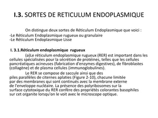 le reticulum endoplasmique | PPTX