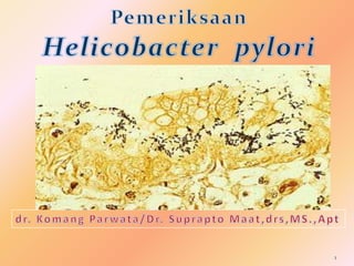 Pemeriksaan Helicobacter  pylori 1 dr. KomangParwata/Dr. SupraptoMaat,drs,MS.,Apt 