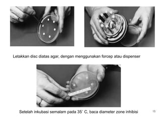 Letakkan disc diatas agar, dengan menggunakan forcep atau dispenserSetelah inkubasi semalam pada 35˚ C, baca diameter zone inhibisi15