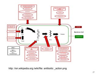 http: //en.wikipedia.org./wiki/file: antiboitic _action.png27