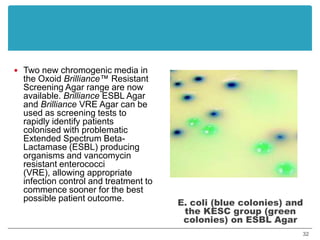 Two new chromogenic media in the Oxoid Brilliance™ Resistant Screening Agar range are now available. Brilliance ESBL Agar and Brilliance VRE Agar can be used as screening tests to rapidly identify patients colonised with problematic Extended Spectrum Beta-Lactamase (ESBL) producing organisms and vancomycin resistant enterococci (VRE), allowing appropriate infection control and treatment to commence sooner for the best possible patient outcome.E. coli (blue colonies) and the KESC group (green colonies) on ESBL Agar32