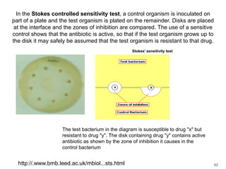 In the Stokes controlled sensitivity test, a control organism is inoculated on part of a plate and the test organism is plated on the remainder. Disks are placed at the interface and the zones of inhibition are compared. The use of a sensitive control shows that the antibiotic is active, so that if the test organism grows up to the disk it may safely be assumed that the test organism is resistant to that drug.  Stokes' sensitivity testThe test bacterium in the diagram is susceptible to drug "x" but resistant to drug "y". The disk containing drug "y" contains active antibiotic as shown by the zone of inhibition it causes in the control bacteriumhttp://.www.bmb.leed.ac.uk/mbiol...sts.html42