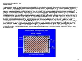 Antimicrobial Susceptibility Test (Broth Dilution) This test used to test all the ABC isolates. This picture shows the most accurate method of determining the antimicrobial susceptibility of GBS. This test is called the broth dilution antimicrobial susceptibility test. It is standardized by the the National Committee on Clinical Laboratory Standards (NCCLS). The picture above shows a microtiter plate with 96 wells. There are 8 rows of wells, labeled A through G. Each row of wells contains one antibiotic. In each row there are 12 wells. Each well contains a different concentration of the specific antibiotic, usually doubling dilutions. In this case, row A contains penicillin starting at the right at 16 ?g/ml and reducing to 0.008 well 12. Row B contains ampicillin starting in well 1 with 16 ?g/ml and reducing to 0.008 ?g/ml to well 12 in the same row. The other rows contain different antibiotics. All 96 wells are inoculated at the same time and the panel is incubated overnight (20-24h). The next day the wells are examined for growth. If there is growth in the well, the antibiotic did not inhibit the bacteria. If you take a close look in row A you will see growth (a small white button at the bottom of the well) only in well 12. In row B you see growth in both well 11 and 12. This means the minimum inhibitory concentration (MIC) of penicillin is 0.016 ?g/ml and the MIC for ampicillin is 0.032 ?g/ml. The MIC’s of these antimicrobials are considered susceptible for,GBS. Erythromycin is shown is row F. The concentration of erythromycin starts at 32 ?g/ml in well 1 and goes to 0.016 ?g/ml in well 12. You can see that there is growth in wells 12 to 4, meaning the MIC of erythromycin to this strain is 8 ?g/ml. This MIC is considered resistant for GBS. Since this is a standardized test results can be compared world-wide if the standard procedures are used. Consult the NCCLS manual for reporting interpretive standards (sensitive, intermediate, and resistance).NCCLS Performance Standards for Antimicrobial Susceptibility Testing; Twelfth Informational Supplement: M100-12 (2002) M2-A7 and M7-A5. 44