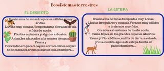 Ecosistema de zonas tropicales cálidas y muy
áridas.
Lluvias muy escasas.Temperaturas elevadas de día
y frías de noche.
Plantas espinosas y algunos arbustos.
Animales adaptados a la escasez de agua.
Fauna y
Flora:ratonero,pecari,coyote,correcaminos,serpien
te de cascabel,arbustos,cactus bola,chumbera...
EL DESIERTO
LA ESTEPA


Ecosistema de zonas templadas muy áridas.
Lluvias irregulares y escasas.Veranos muy cálidos
e inviernos muy fríos.
Grandes extensiones de hierba corta.
Fauna típica de los grandes espacios abiertos.
Fauna y Flora:Milano,ardilla de tierra,avutarda,
grulla,culebra,águila de estepa,hierba de
pasto,chumbera...
Ecosistemas terrestres
 