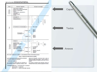 Capas Textos Anexos 