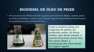 BIODIESEL DE ÓLEO DE PEIXE
• Processamento de 200 litros de óleo de peixe proveniente da Bélgica, matéria prima
enviada pela DeSmet, a maior e mais famosa empresa especializada no fornecimento
de equipamentos para extração de óleos.
Como a matéria prima era
originária de peixes, foi
produzido assim, de forma
inédita, óleo diesel animal, o
qual fez funcionar muito bem
um motor diesel, à
semelhança dos óleos diesel
de origem vegetal.
 