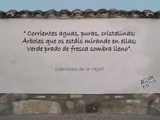 “ Corrientes aguas, puras, cristalinas;
Árboles que os estáis mirando en ellas;
Verde prado de fresca sombra lleno”.
(Garcilaso de la Vega)
 