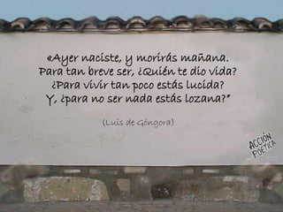 «Ayer naciste, y morirás mañana.
Para tan breve ser, ¿Quién te dio vida?
¿Para vivir tan poco estás lucida?
Y, ¿para no ser nada estás lozana?”
(Luis de Góngora)
 