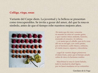 Collige, virgo, rosas
Variante del Carpe diem. La juventud y la belleza se presentan
como irrecuperables. Se invita a gozar del amor, del que la rosa es
símbolo, antes de que el tiempo robe nuestros mejores años.
En tanto que de rosa y azucena
se muestra la color en vuestro gesto,
y que vuestro mirar ardiente, honesto,
enciende al corazón y lo refrena;
y en tanto que el cabello, que en la vena
del oro se escogió, con vuelo presto,
por el hermoso cuello blanco, enhiesto,
el viento mueve, esparce y desordena;
coged de vuestra alegre primavera
el dulce fruto, antes que el tiempo airado
cubra de nieve la hermosa cumbre.
Marchitará la rosa el viento helado,
todo lo mudará la edad ligera,
por no hacer mudanza en su costumbre.
Garcilaso de la Vega
 