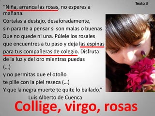 Texto 3
“Niña, arranca las rosas, no esperes a
mañana.
Córtalas a destajo, desaforadamente,
sin pararte a pensar si son malas o buenas.
Que no quede ni una. Púlele los rosales
que encuentres a tu paso y deja las espinas
para tus compañeras de colegio. Disfruta
de la luz y del oro mientras puedas
(…)
y no permitas que el otoño
te pille con la piel reseca (…)
Y que la negra muerte te quite lo bailado.”
            Luis Alberto de Cuenca

    Collige, virgo, rosas
 