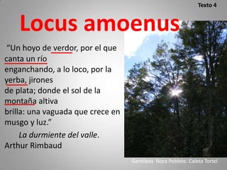 Texto 4


    Locus amoenus
 “Un hoyo de verdor, por el que
canta un río
enganchando, a lo loco, por la
yerba, jirones
de plata; donde el sol de la
montaña altiva
brilla: una vaguada que crece en
musgo y luz.”
     La durmiente del valle.
Arthur Rimbaud
                                   Gentileza Nora Poblete. Caleta Tortel
 