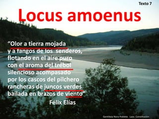Texto 7


    Locus amoenus
“Olor a tierra mojada
y a fangos de los senderos,
flotando en el aire puro
con el aroma del trébol
silencioso acompasado
por los cascos del pilchero
rancheras de juncos verdes
bailada en brazos de viento”
                Félix Elías”.
                       Félix Elías
                                     Gentileza Nora Poblete. Lazo. Constitución
 