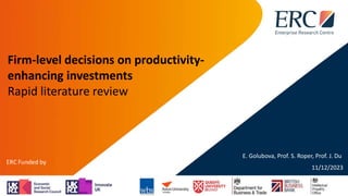 Firm-level decisions on productivity-
enhancing investments
Rapid literature review
11/12/2023
E. Golubova, Prof. S. Roper, Prof. J. Du
1
 