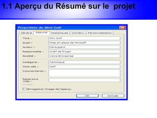 1.1 Aperçu du Résumé sur le projet
 