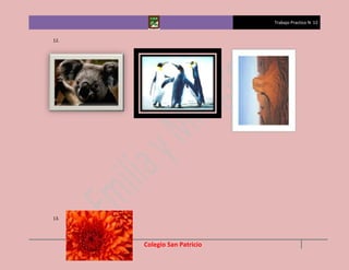 Trabajo Practico N 12


12.




13.




      Colegio San Patricio
 