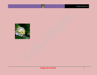 Trabajo Practico N 12




Colegio San Patricio
 