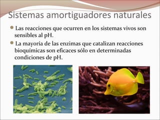 Sistemas amortiguadores naturales
Las reacciones que ocurren en los sistemas vivos son
sensibles al pH.
La mayoría de las enzimas que catalizan reacciones
bioquímicas son eficaces sólo en determinadas
condiciones de pH.
 