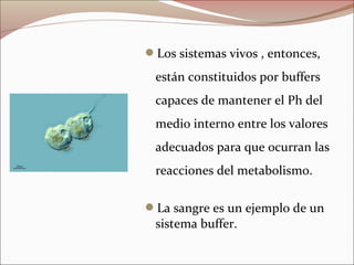 Los sistemas vivos , entonces,
están constituidos por buffers
capaces de mantener el Ph del
medio interno entre los valores
adecuados para que ocurran las
reacciones del metabolismo.
La sangre es un ejemplo de un
sistema buffer.
 