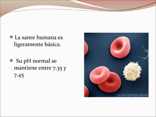 La sanre humana es
ligeramente básica.
 Su pH normal se
mantiene entre 7.35 y
7.45
 