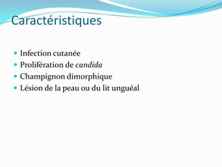Caractéristiques
Infection cutanée
Prolifération de candida
Champignon dimorphique
Lésion de la peau ou du lit unguéal