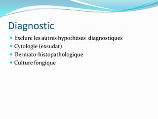 Diagnostic
Exclure les autres hypothèses diagnostiques
Cytologie (exsudat)
Dermato-histopathologique
Culture fongique