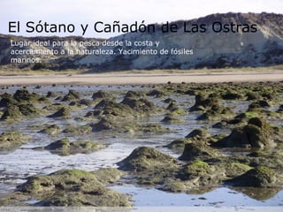 El Sótano y Cañadón de Las Ostras Lugar ideal para la pesca desde la costa y acercamiento a la naturaleza. Yacimiento de fósiles marinos.  